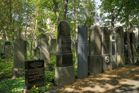 Old graves