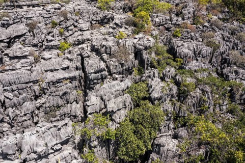 Tsingy de Ankarana National Park