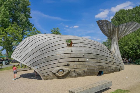 Water playground
