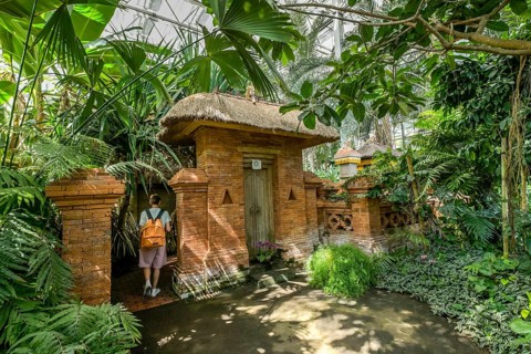 Tropical Hall Balinese Garden