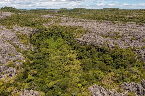 Tsingy de Ankarana National Park