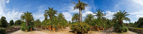 Bad Pyrmont Panorama Palm Garden
