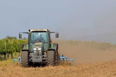 Agriculture