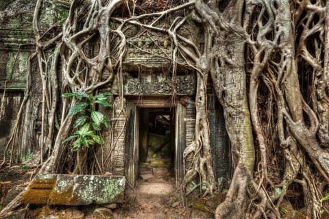 Travel Cambodia concept background
