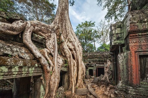 Travel Cambodia concept background