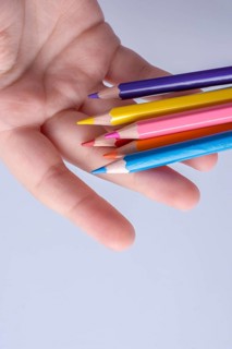Hand holding color Pencils placed on a white background