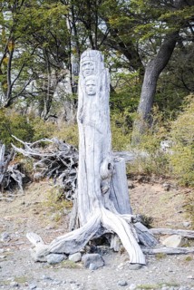 Two heads carved in a tree trunk on Brazo Rico lakeshore