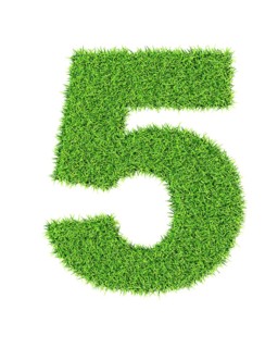 Grass number 1 five