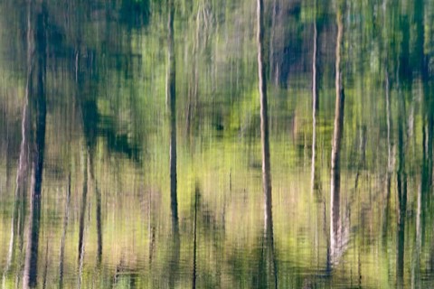 Mountain lake
