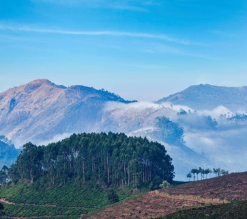Kerala India travel background