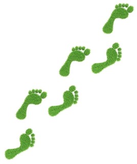 Ecology eco friendly green bio concept