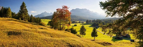 Mogul meadows between Mittenwald and Kruen