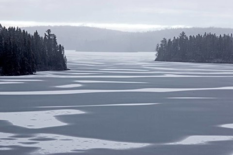 Thaw lake in spring