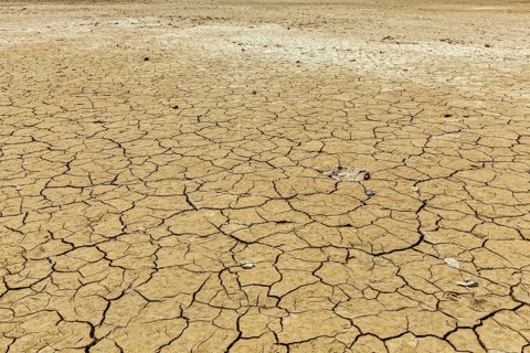 Cracked earth background texture