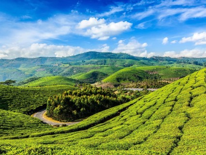 Kerala India travel background