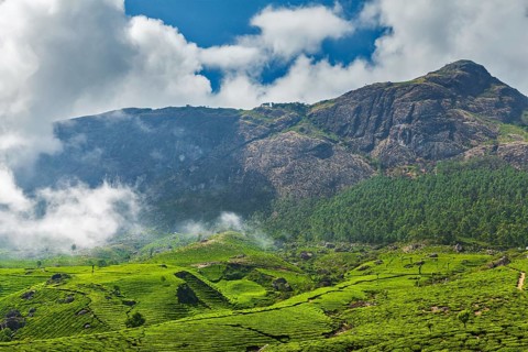 Kerala India travel background