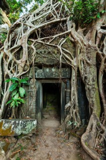 Travel Cambodia concept background