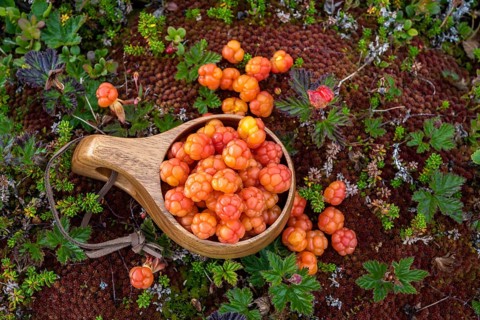 Cloudberries
