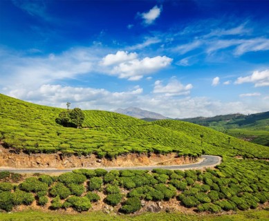 Kerala India travel background