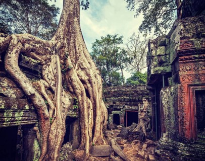 Vintage retro effect filtered hipster style travel image of ancient ruins with tree roots