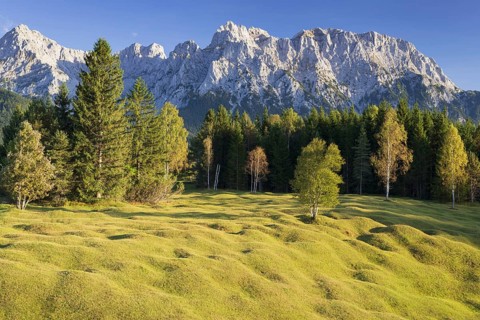 Mogul meadows between Mittenwald and Kruen