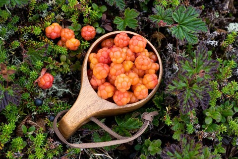Cloudberries