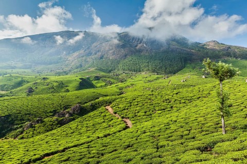 Kerala India travel background