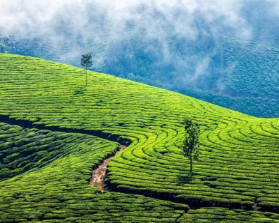Kerala India travel background