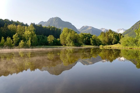 Moor pond