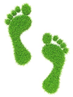Ecology eco friendly green bio concept