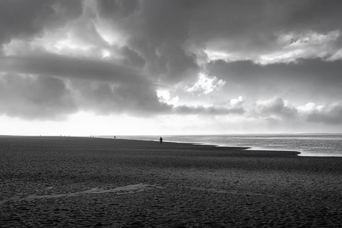 View of the dark sand mudflats in autumn