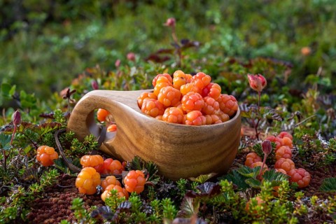 Cloudberries