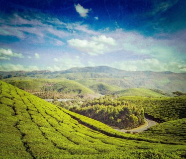 Vintage retro hipster style travel image of Kerala India travel background