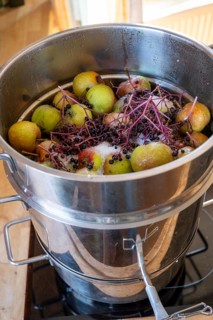Apples and elderberries in a juicer