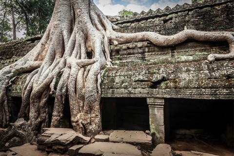 Travel Cambodia concept background