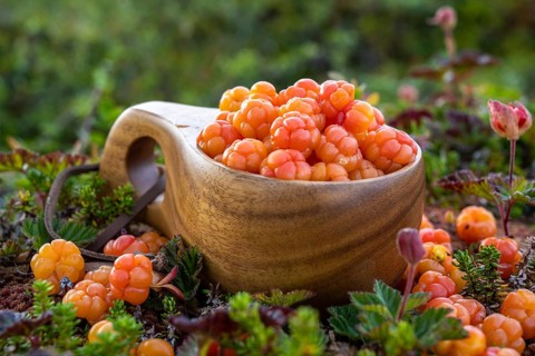 Cloudberries