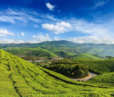 Kerala India travel background