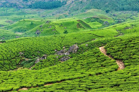 Kerala India travel background