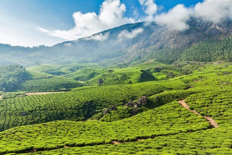 Kerala India travel background