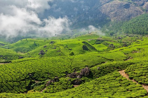 Kerala India travel background