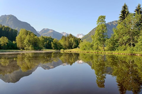 Moor pond