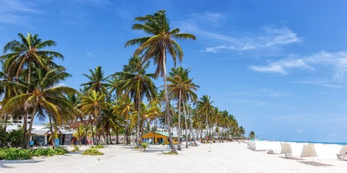 Beach Playa Spratt Bight Travel Holiday Vacation with Palm Panorama by the Sea on San Andres Island in Colombia