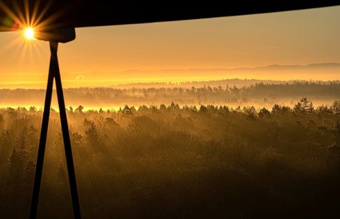 Misty whale in the sunrise