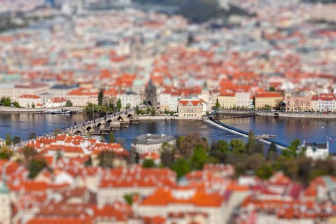 Aerial view of Charles Bridge over Vltava river and Old city from Petrin hill Observation Tower with tilt shift toy effect shallow depth of field. Prague