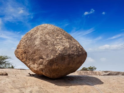 Krishna's butterball