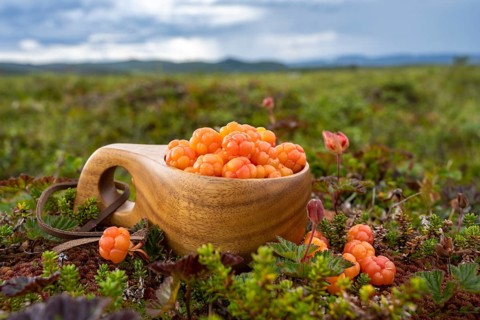 Cloudberries