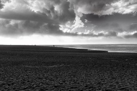 View of the dark sand mudflats in autumn