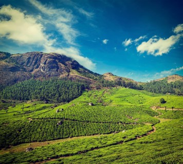 Vintage retro hipster style travel image of Kerala India travel background