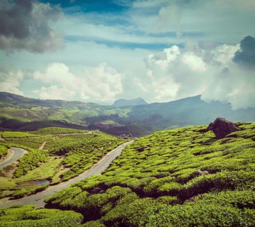 Vintage retro hipster style travel image of Kerala India travel background
