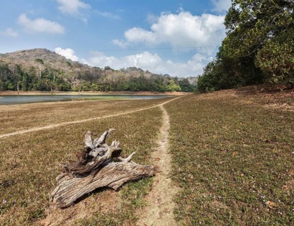 Periyar wildlife sanctuary